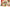 2026 Christmas Squishies Advent Calendar, 24-Day Countdown for Adults | Shinymarch