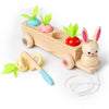 Multiple Function Vegetables and Fruits Harvest Wooden Montessori Toys, Carrot Pulling Rabbit Trailer | Shinymarch