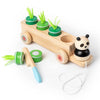 Multiple Function Vegetables and Fruits Harvest Wooden Montessori Toys, Carrot Pulling Rabbit Trailer | Shinymarch