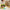 Interactive Jumping Frog Game
