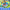 7 in 1 Inflatable Bounce House, Bouncy House with Ball Pit for Kids Indoor Outdoor Party Family Fun, Obstacles, Toddler Jump Bouncy Castle with Ball Pit for Birthday Party Gifts  | Shinymarch